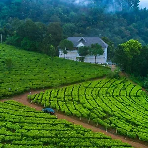 *** Курортный комплекс Tea Harvester Индия